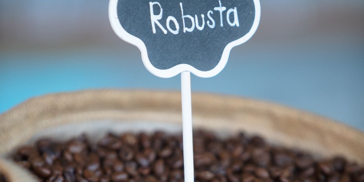 Cadre réglementaire et prix du café robusta