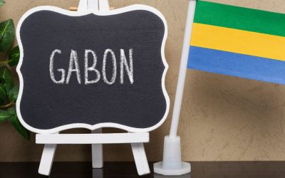 Gabon : Gabriel Ntougou décline les enjeux du nouveau guichet numérique de l’investissement
